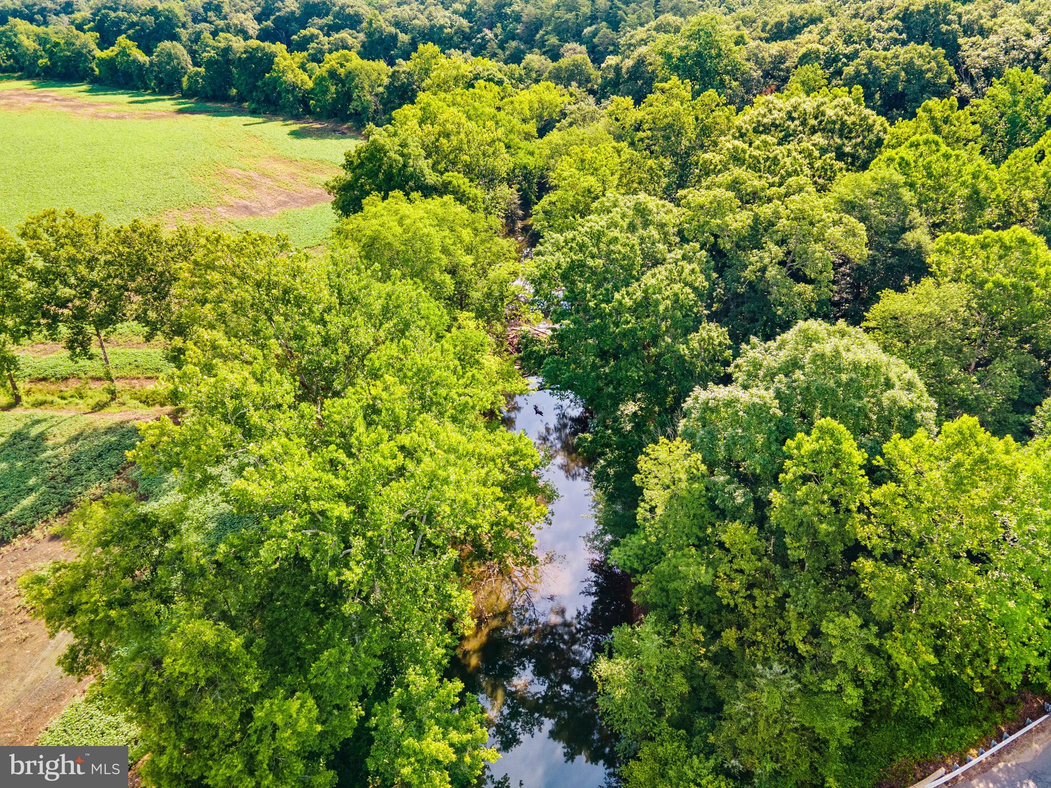 6518 Sumerduck Road Remington, VA 22734 - Photo 3 of 23