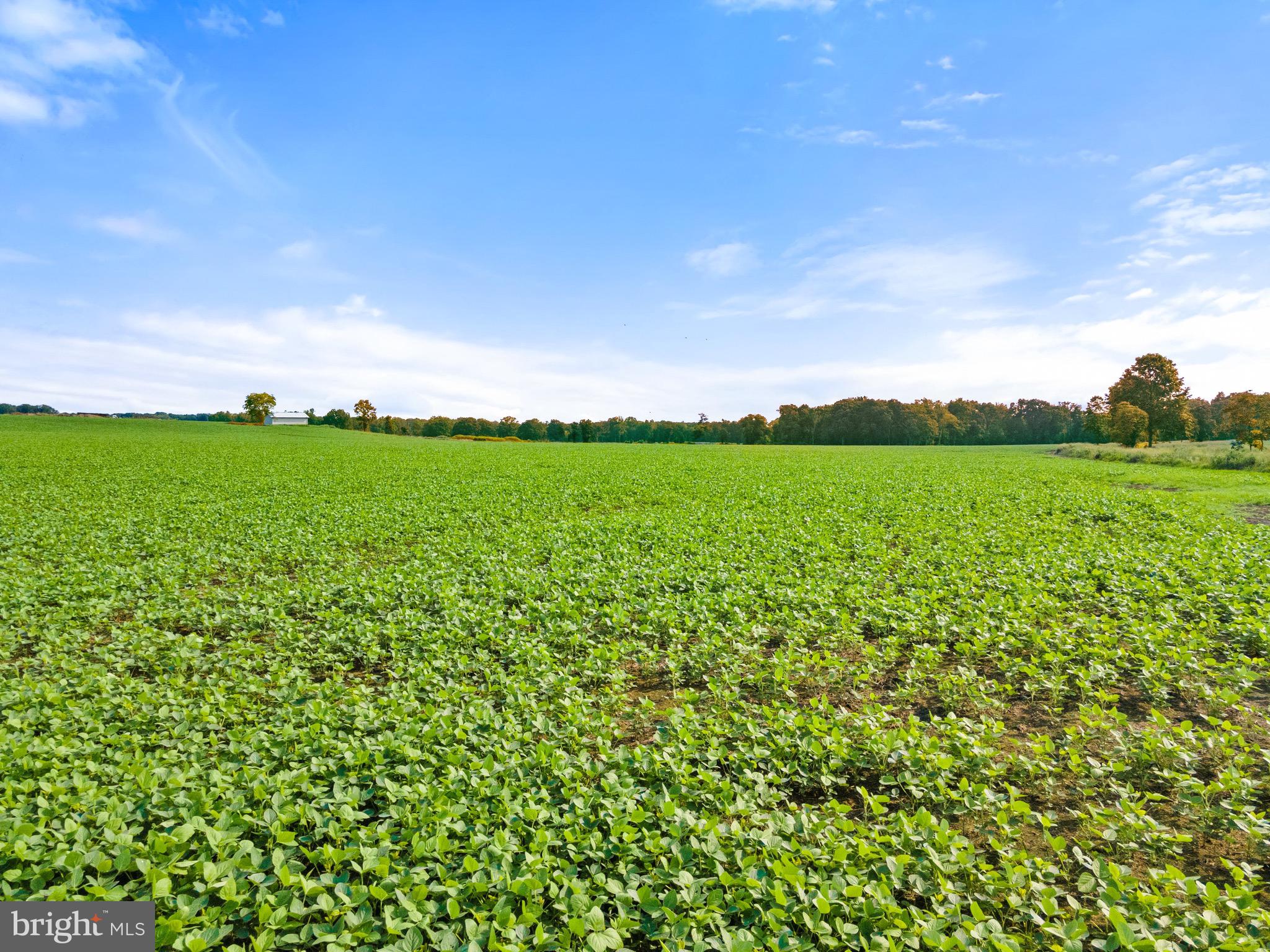 6518 Sumerduck Road Remington, VA 22734 - Photo 8 of 23