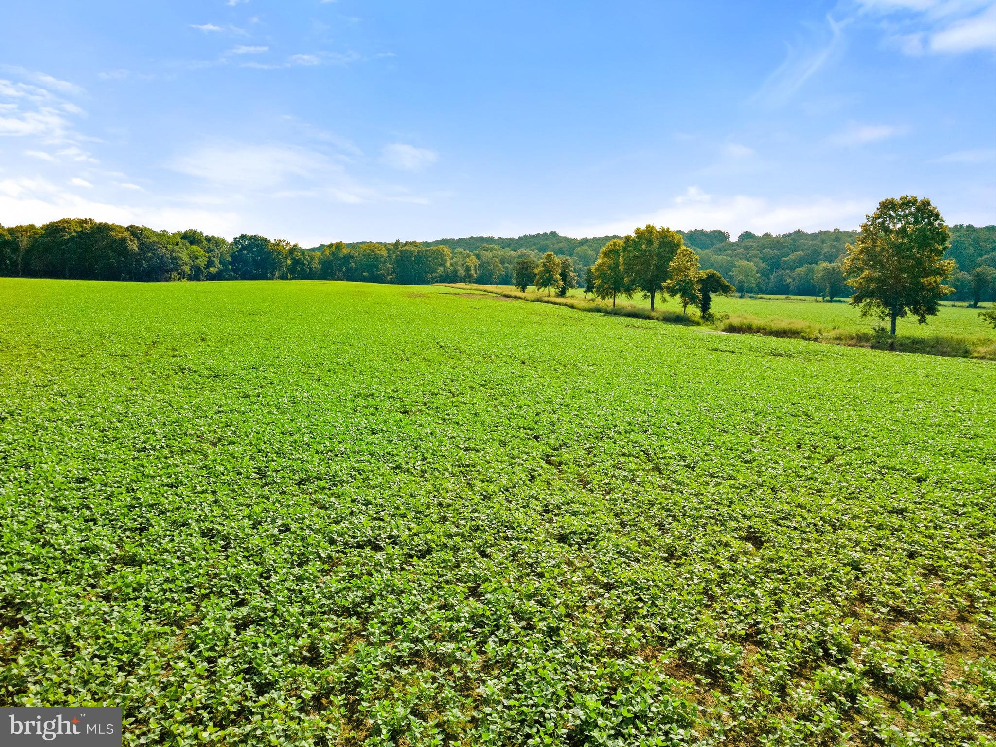 6518 Sumerduck Road Remington, VA 22734 - Photo 10 of 23