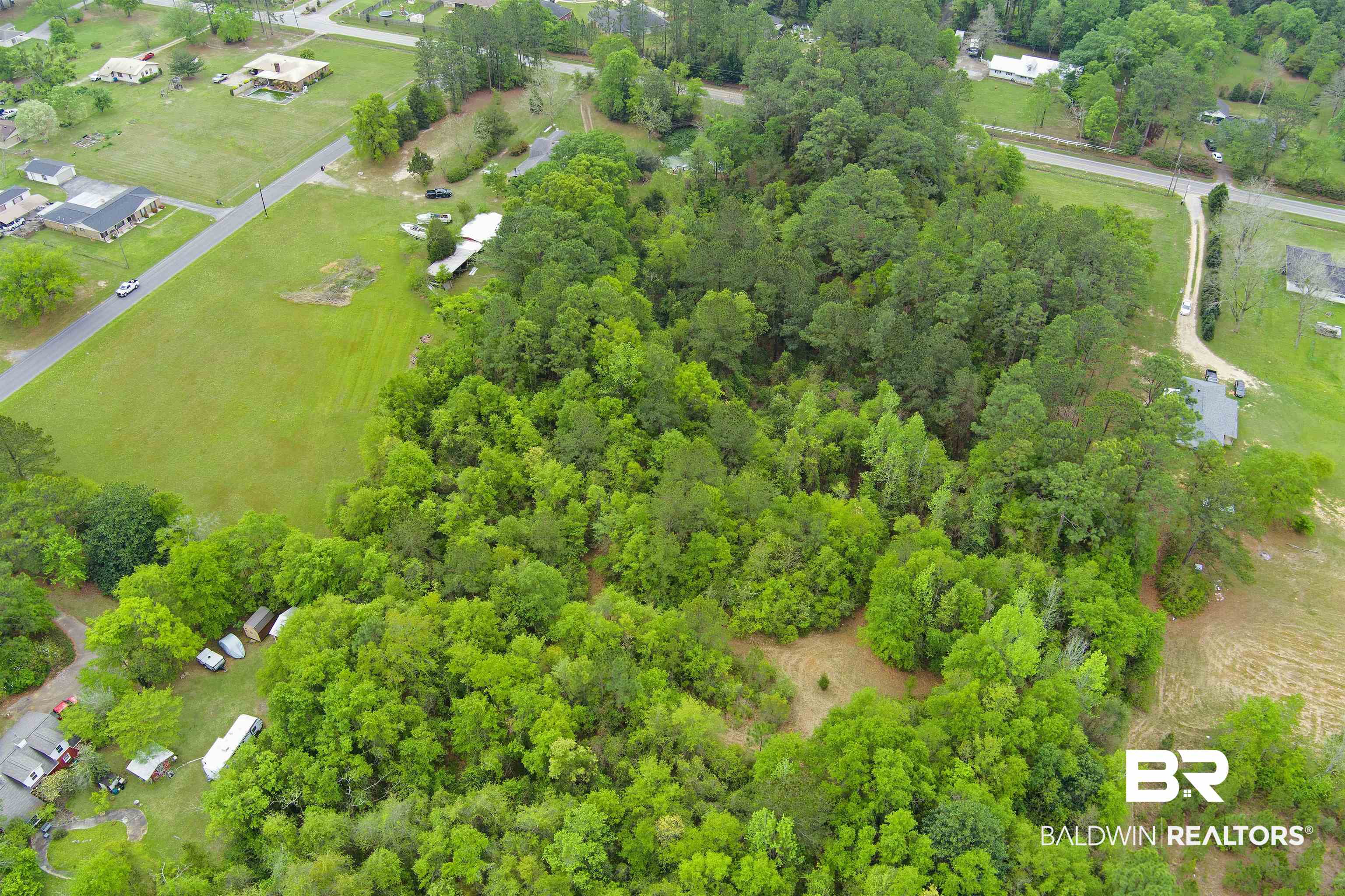 0 Wards Lane Semmes, AL 36575 - Photo 1 of 12