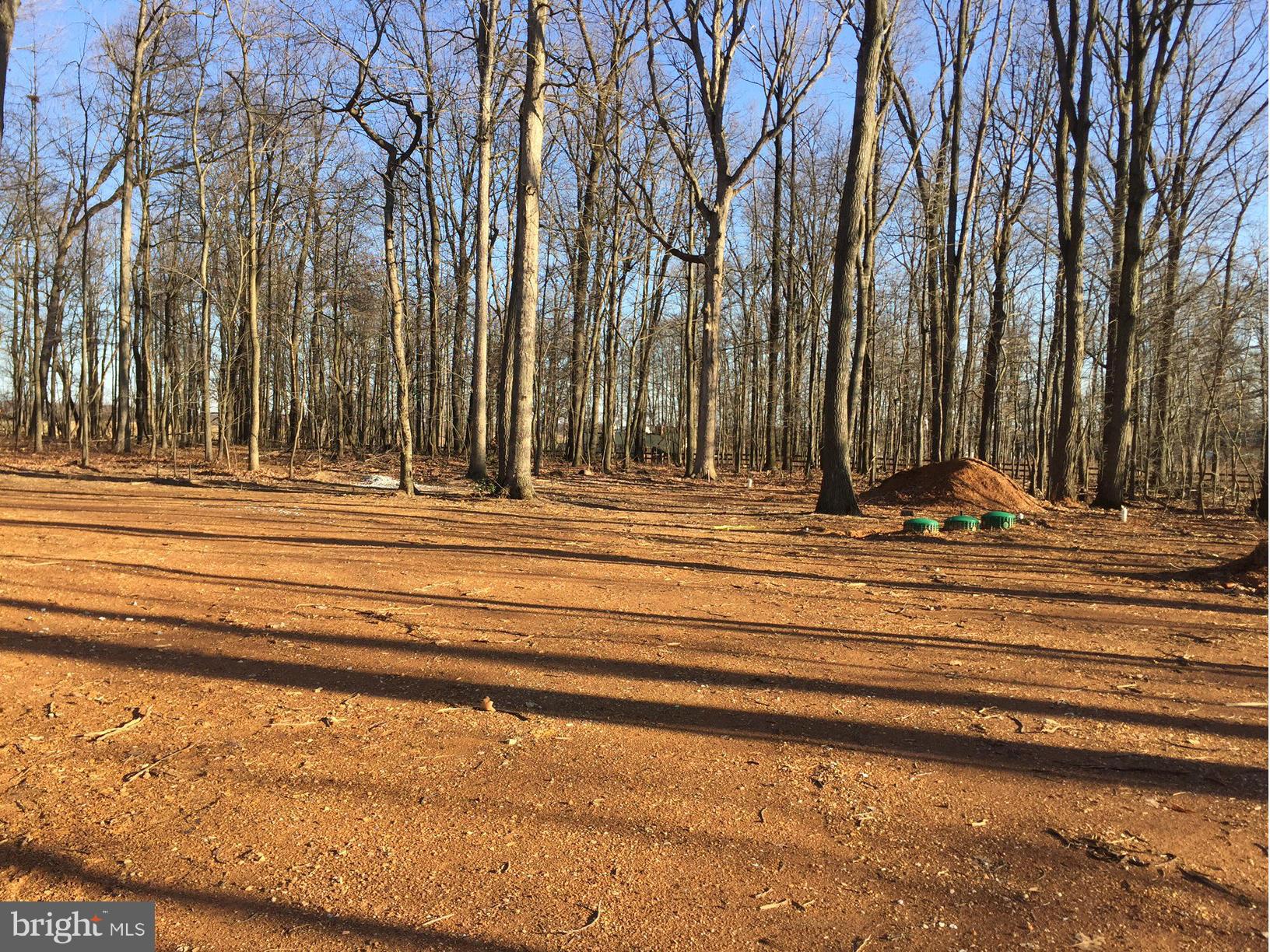 3175 Old Ridge Road Mount Airy, MD 21771 - Photo 13 of 24 partially fenced level rear yard