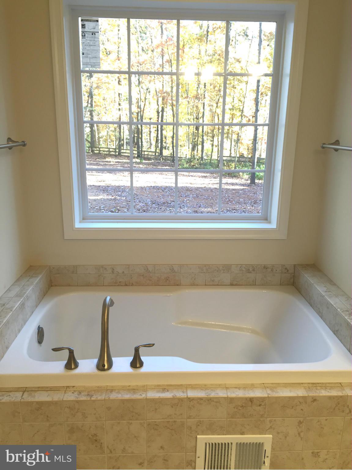 3175 Old Ridge Road Mount Airy, MD 21771 - Photo 18 of 24 Bath (Master)
