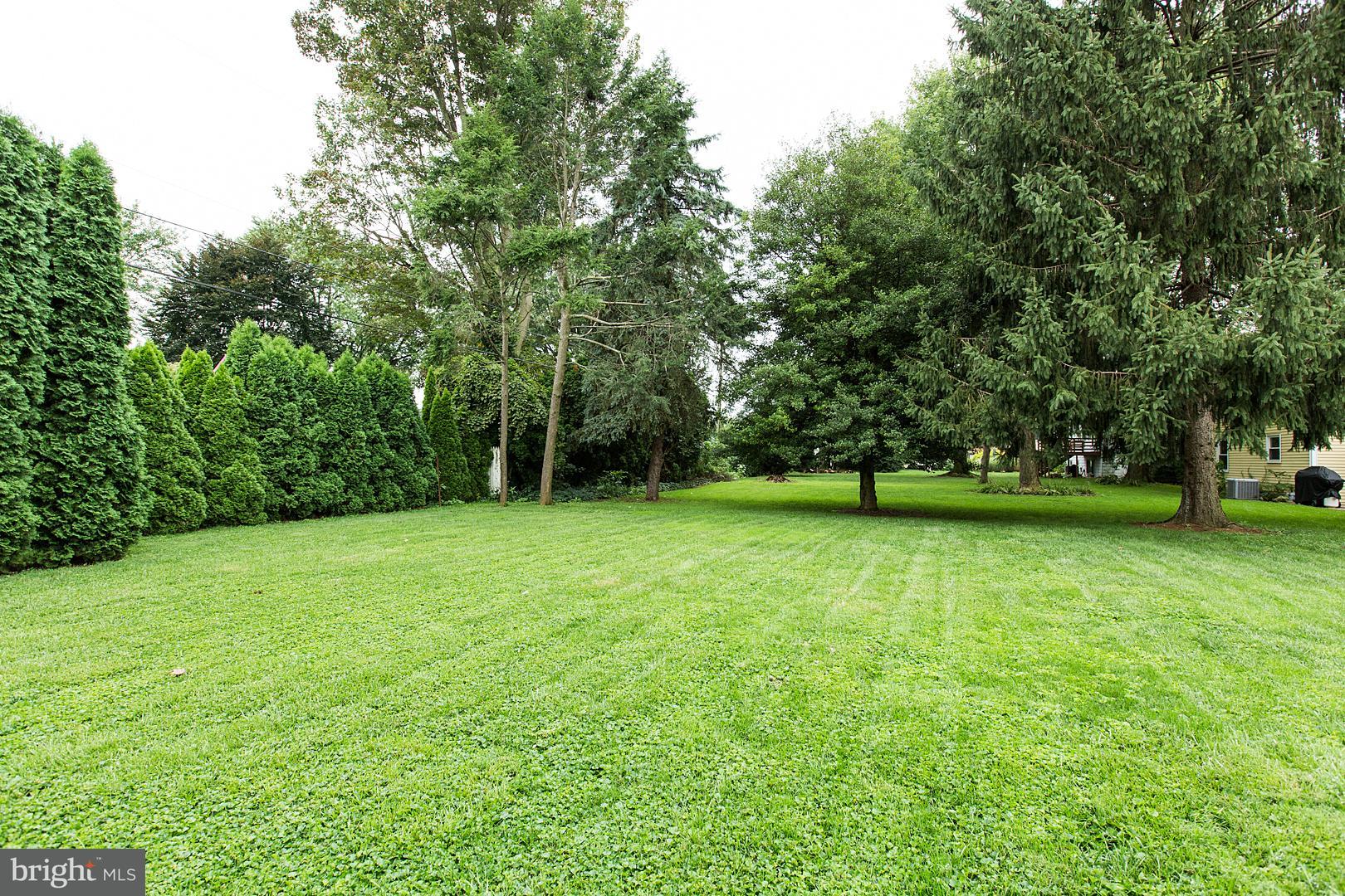 340 Longmeadow Road Lancaster, PA 17601 - Photo 48 of 48 level open yard area