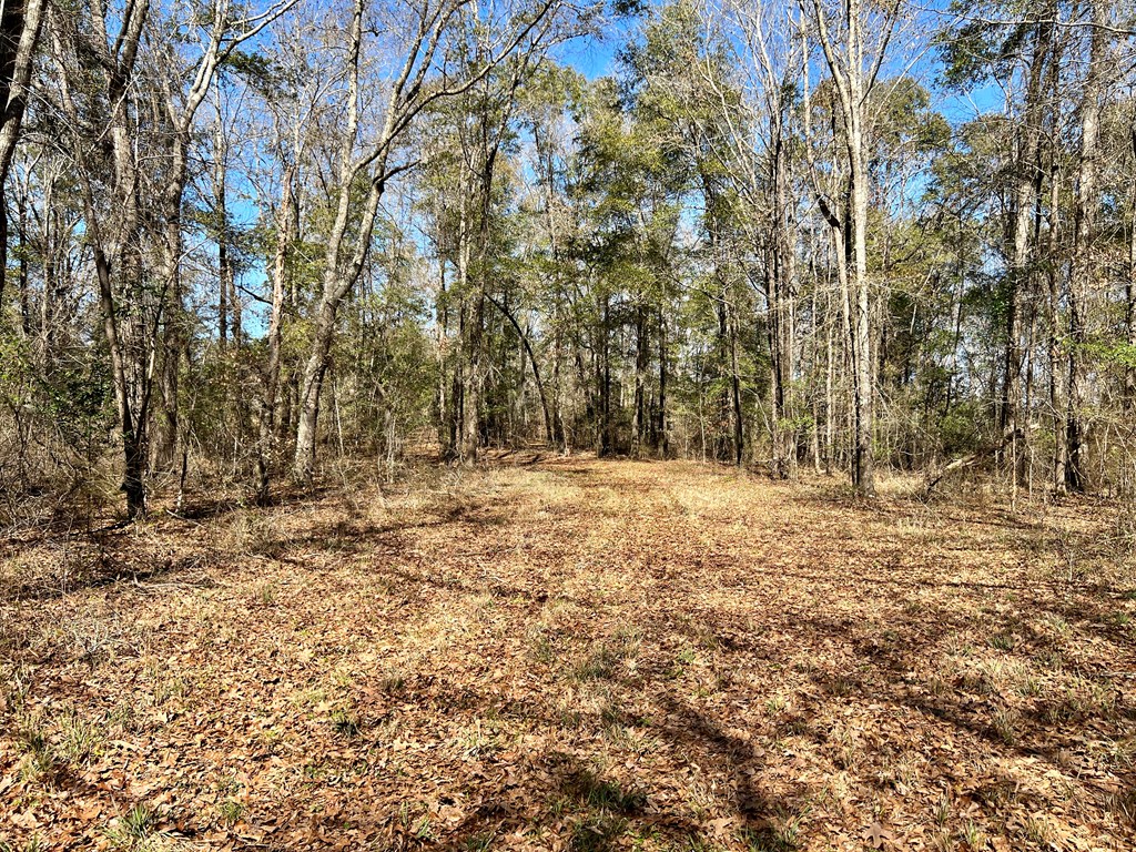 0 County Road 97 Abbeville, AL 36310 - Photo 48 of 53
