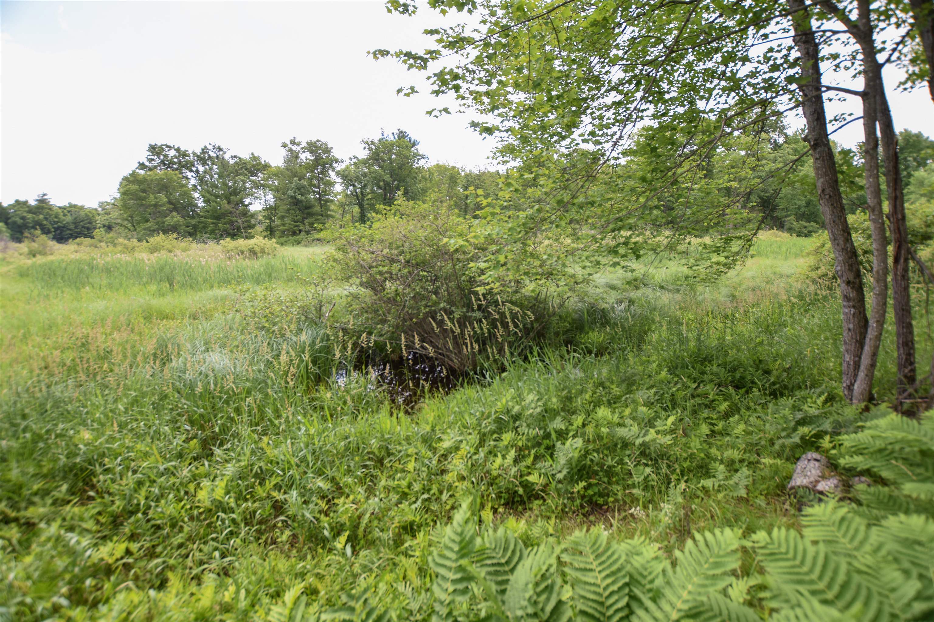 County Road Weyauwega, WI 54983 - Photo 22 of 72