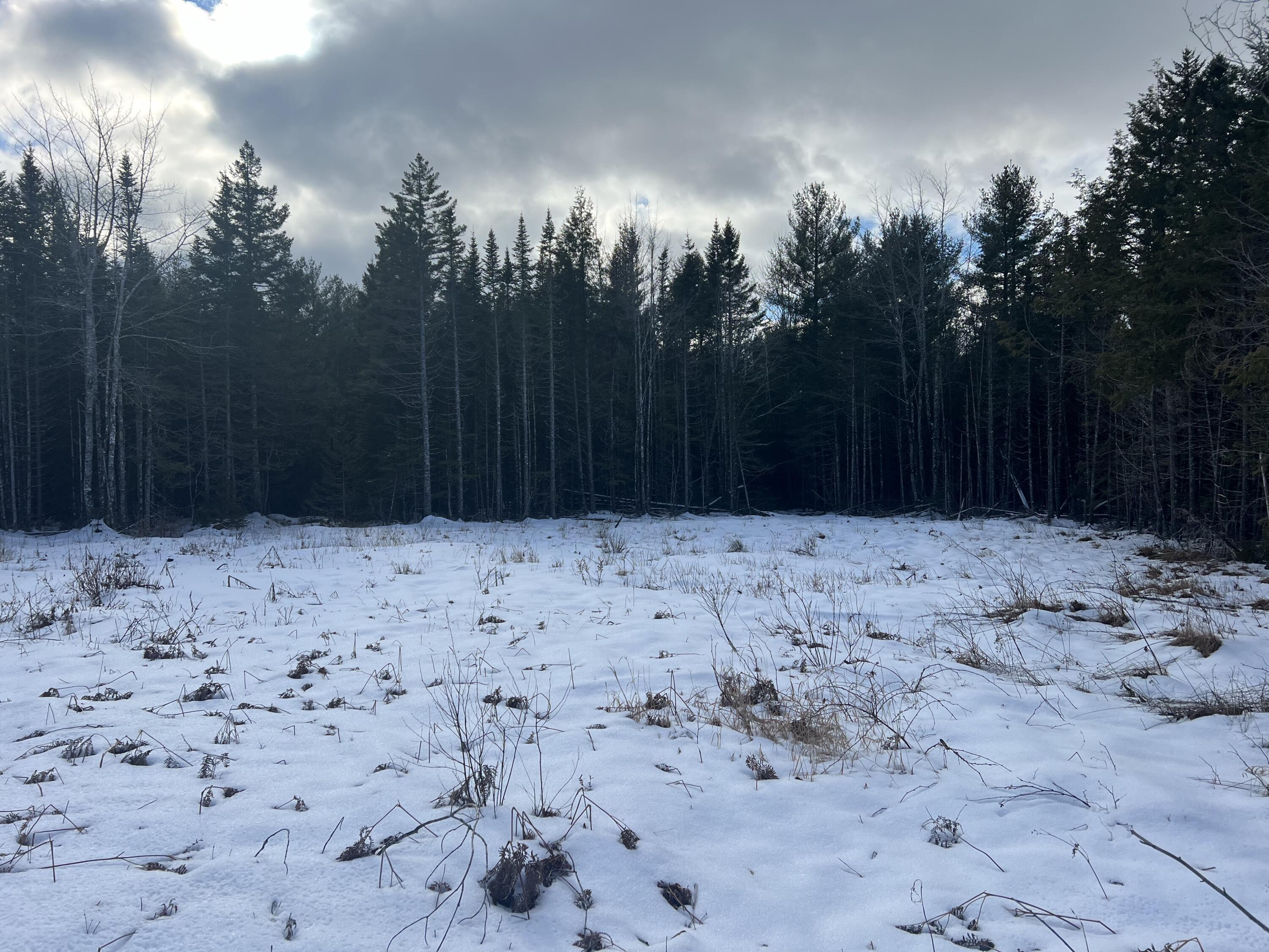 Lot 137 White Tail Road Ellsworth, ME 04605 - Photo 3 of 11 IMG_1220