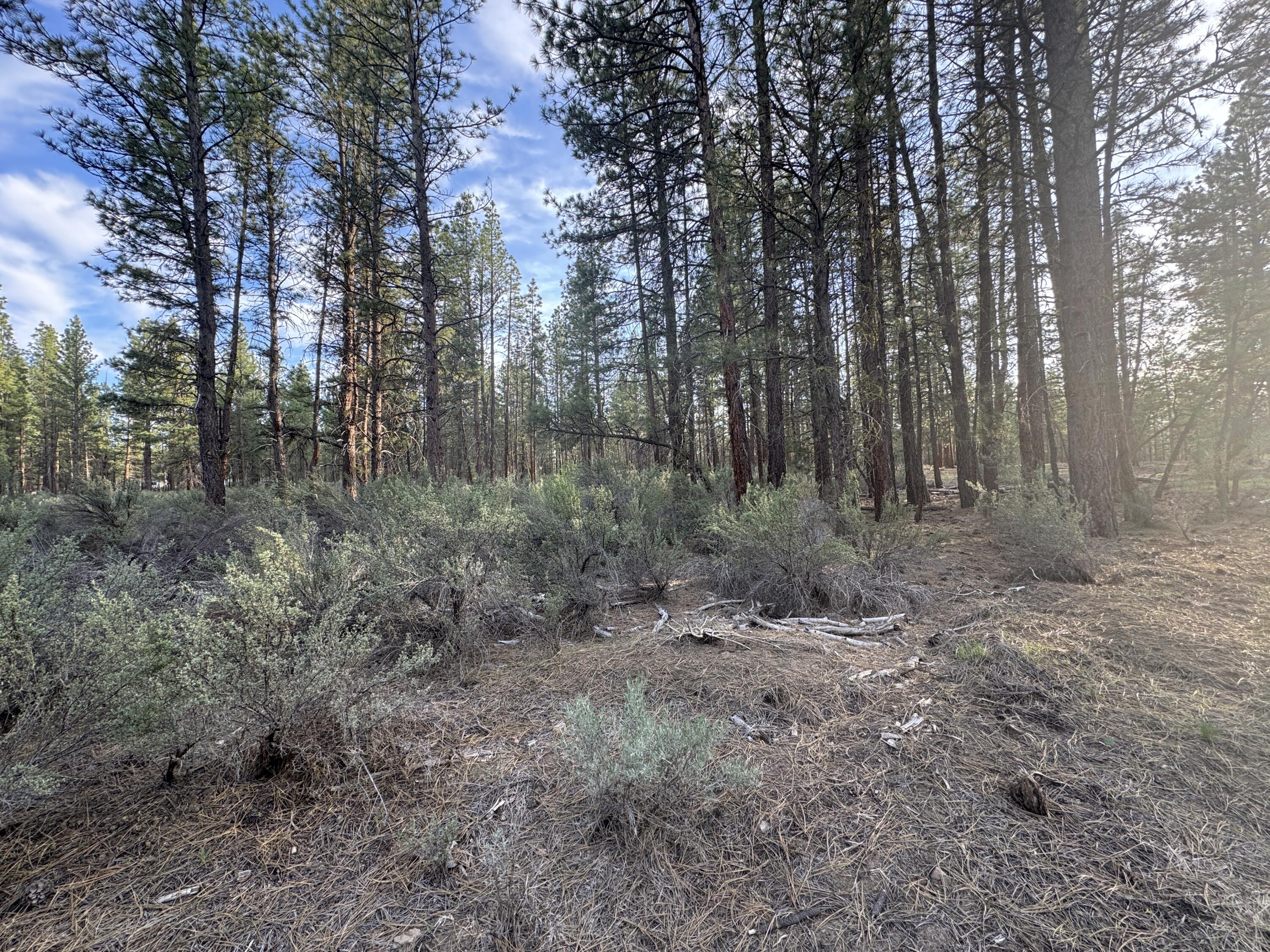 0 Silver Fox Lane, Unit 13 Chiloquin, OR 97624 - Photo 1 of 9 a view of a forest with trees in the background