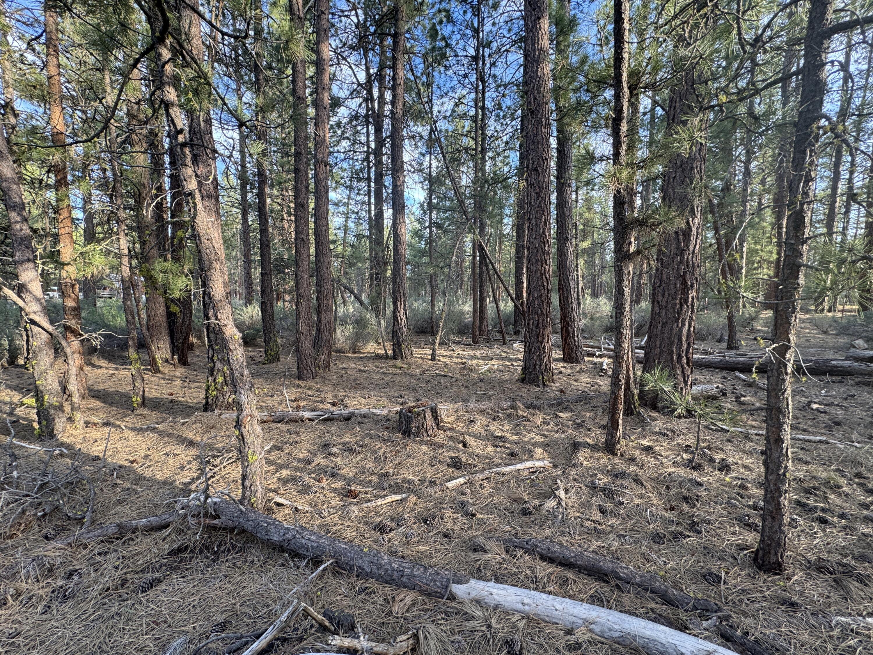 0 Silver Fox Lane, Unit 13 Chiloquin, OR 97624 - Photo 2 of 9 a view of outdoor space with lots of trees