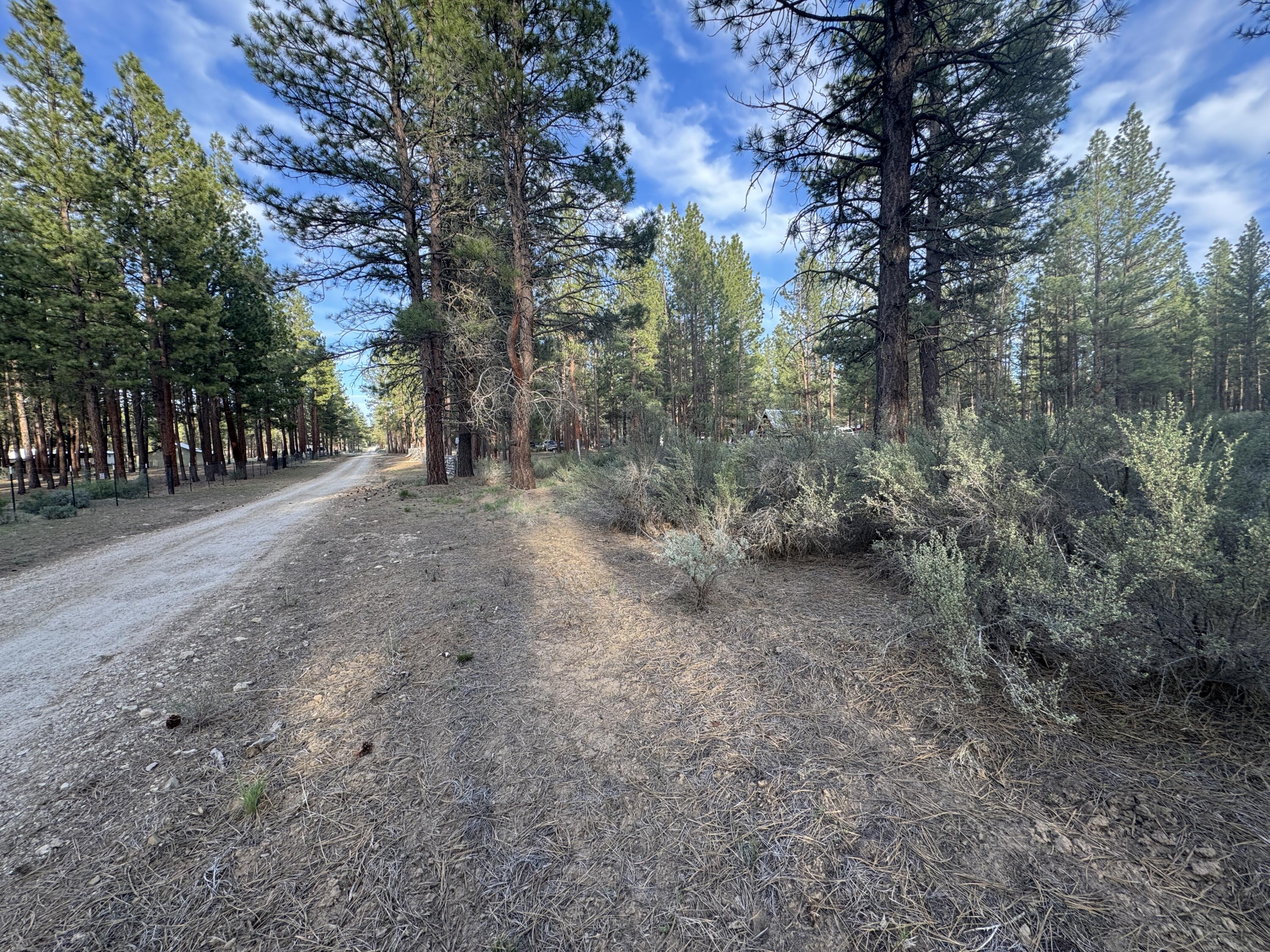0 Silver Fox Lane, Unit 13 Chiloquin, OR 97624 - Photo 3 of 9 a view of a dirt road with trees in the background
