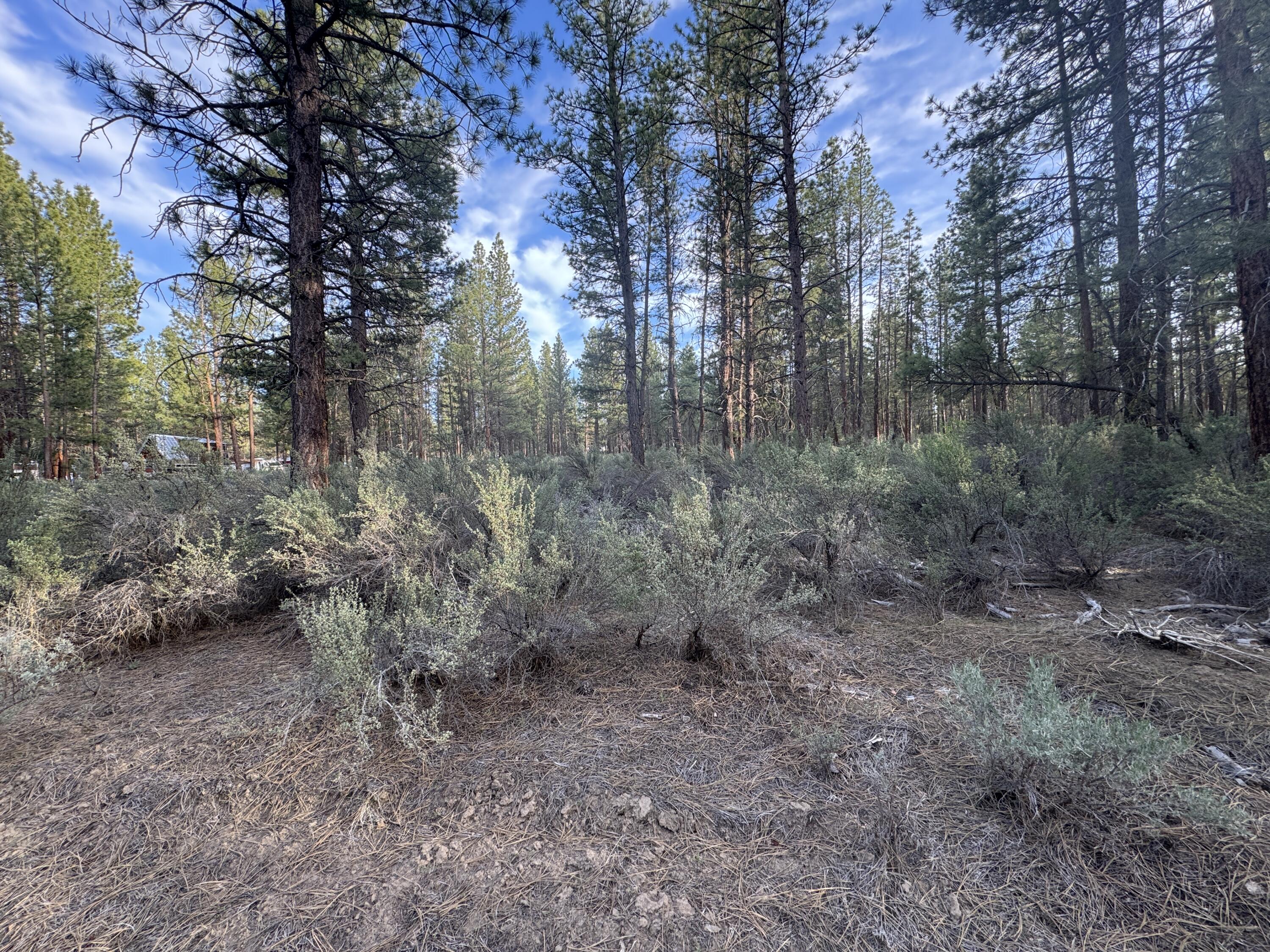 0 Silver Fox Lane, Unit 13 Chiloquin, OR 97624 - Photo 4 of 9 a view of a forest with trees in the background