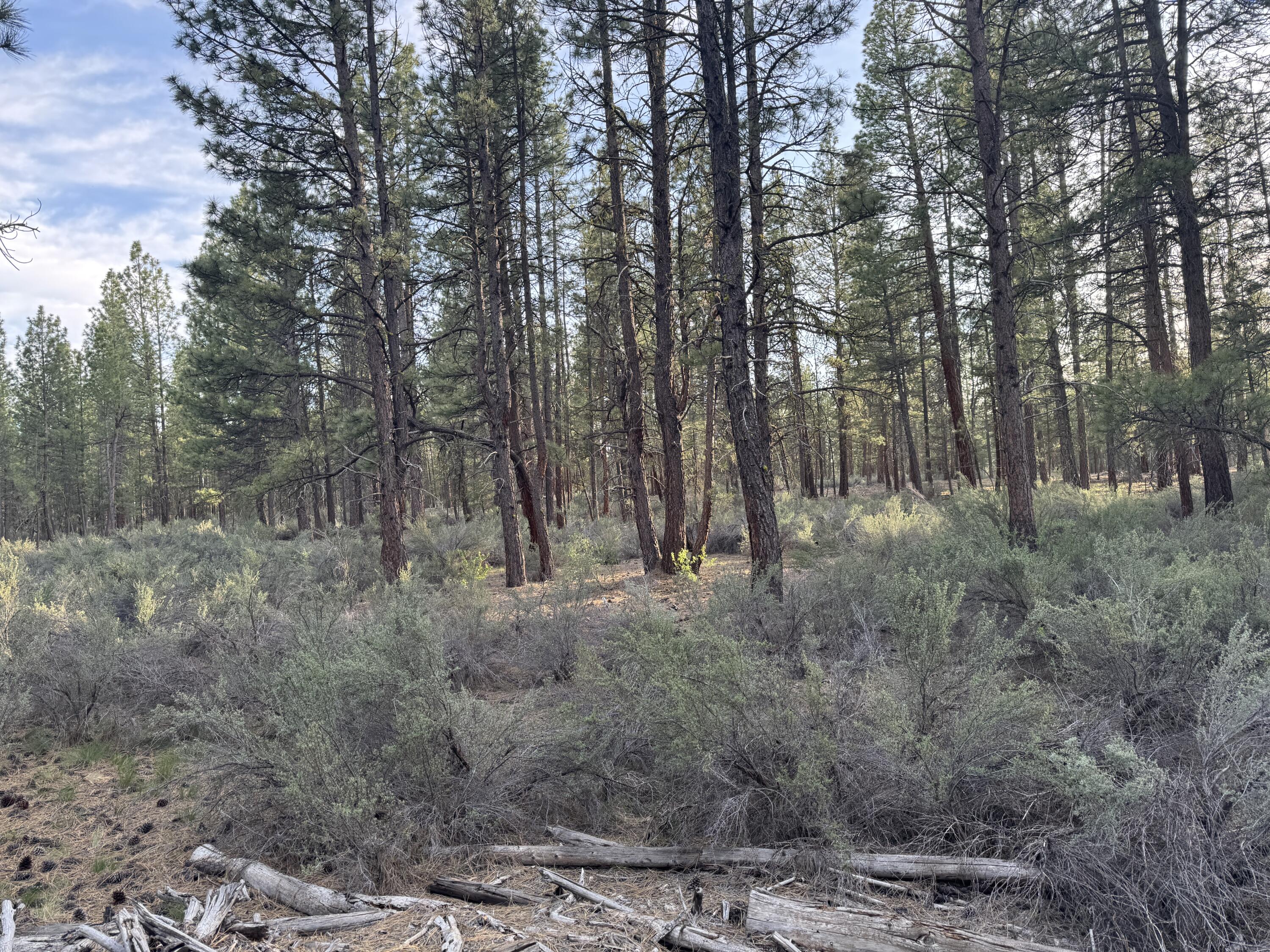 0 Silver Fox Lane, Unit 13 Chiloquin, OR 97624 - Photo 5 of 9 a view of forest