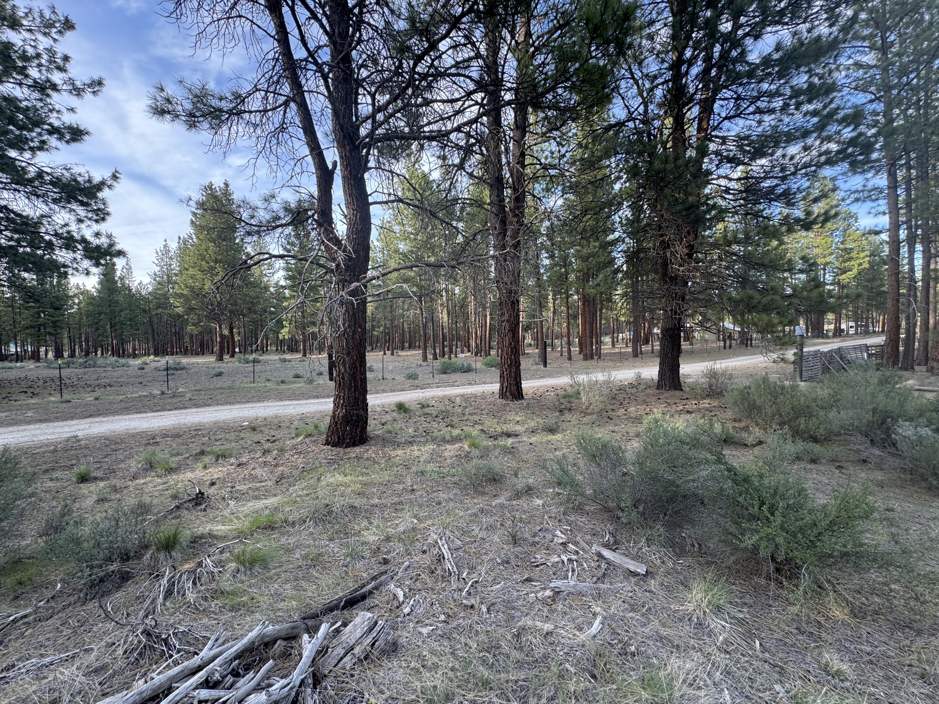 0 Silver Fox Lane, Unit 13 Chiloquin, OR 97624 - Photo 7 of 9 a view of outdoor space with trees