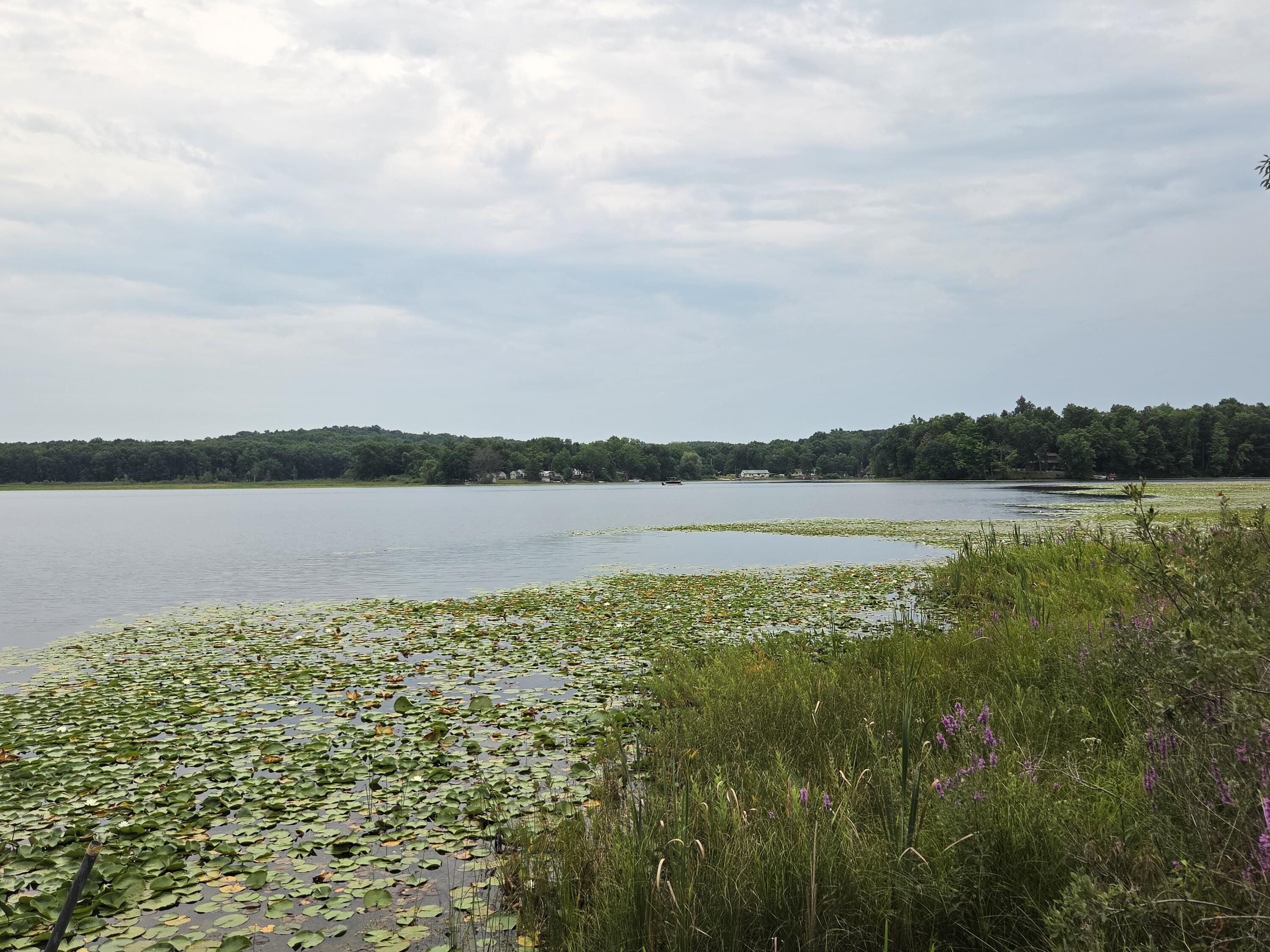 12884 Sharon Hollow Road Manchester, MI 48158 - Photo 41 of 55 20260727_142712