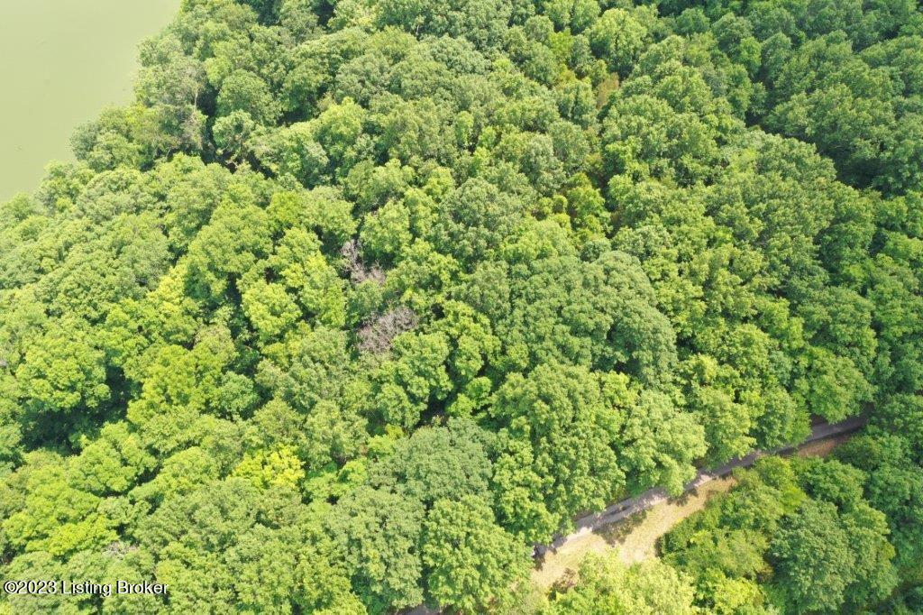 0 Dryden Road Bloomfield, KY 40008 - Photo 5 of 19 DJI_0434