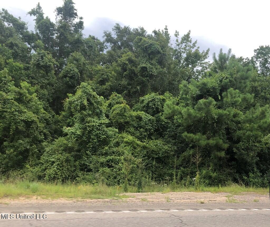 Cedar Grove Avenue Picayune, MS 39466 - Photo 2 of 3 177380_1