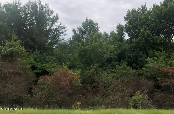 $39,000 | Cedar Grove Avenue, Picayune, MS 39466