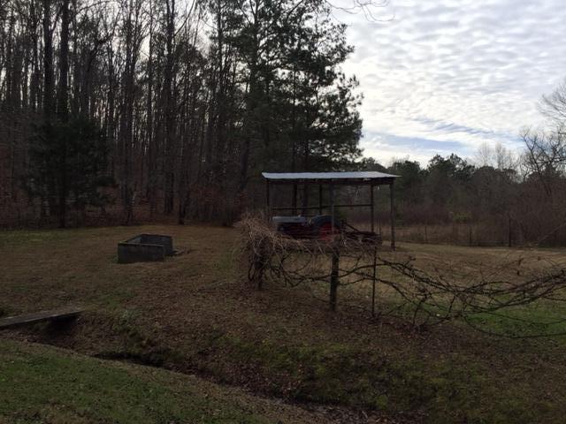 212 Eads Bluff Road Northwest Georgetown, TN 37336 - Photo 24 of 35 212 eads bluff 11