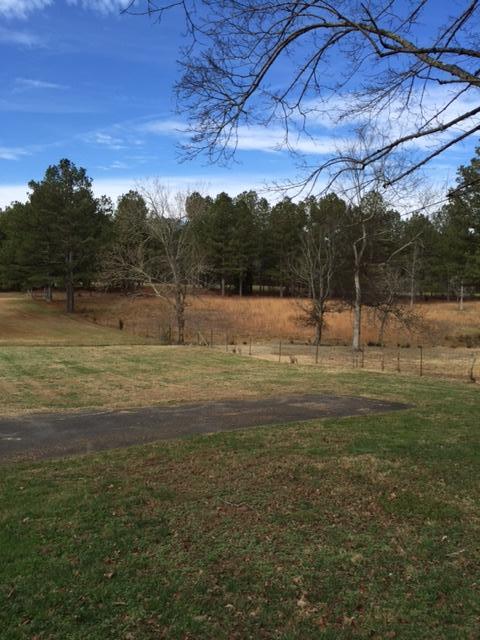 212 Eads Bluff Road Northwest Georgetown, TN 37336 - Photo 29 of 35 212 eads bluff 20