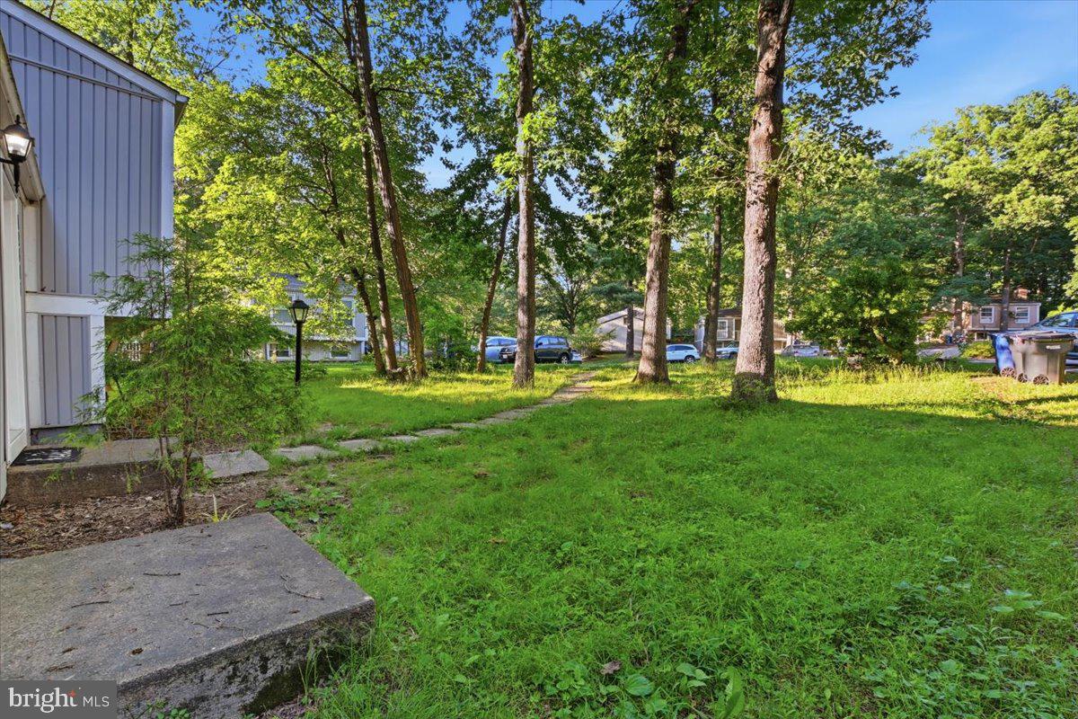 12303 Tigers Eye Court Reston, VA 20191 - Photo 5 of 33