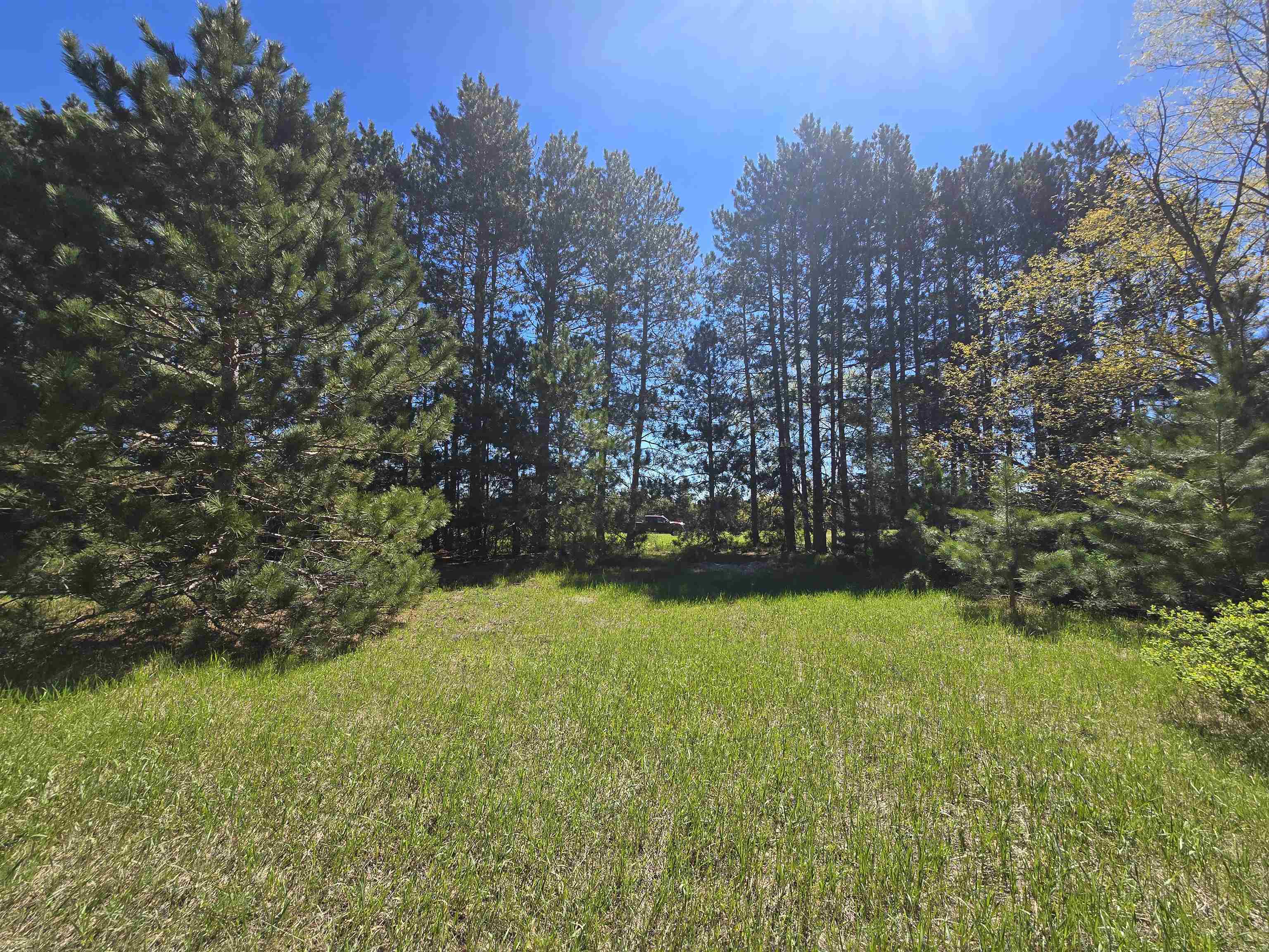 0 North 3 Road Mesick, MI 49668 - Photo 1 of 6