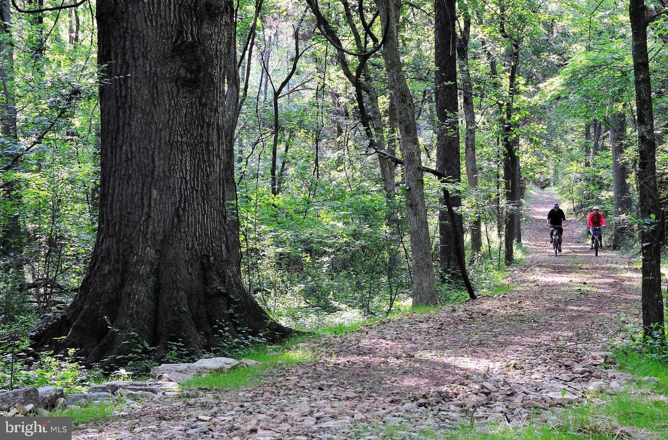 40789 Foxtail Fields Drive Aldie, VA 20105 - Photo 59 of 63 Willowsford Trails