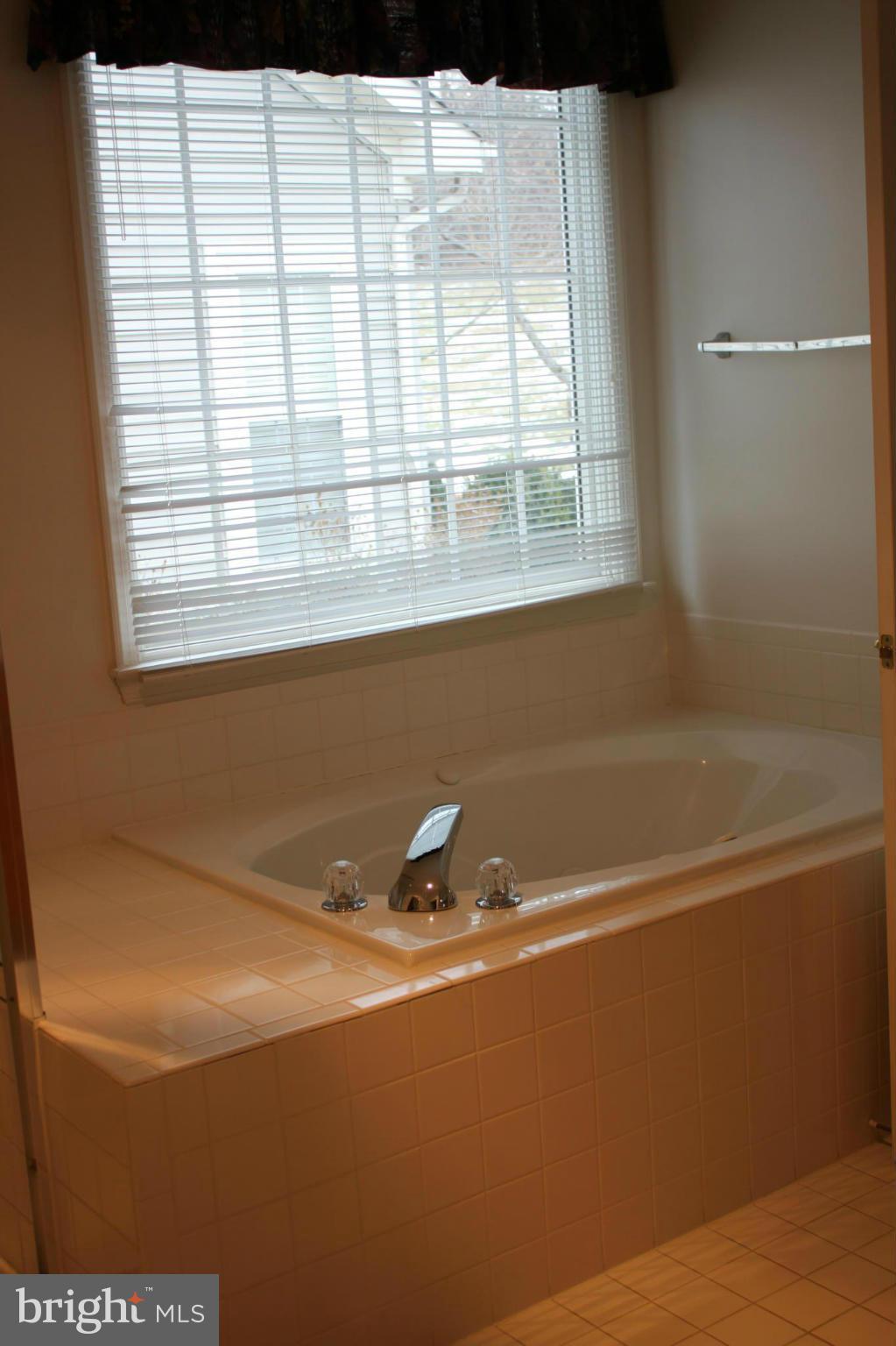 13627 Ryton Ridge Lane Gainesville, VA 20155 - Photo 13 of 21 Bath (Master)