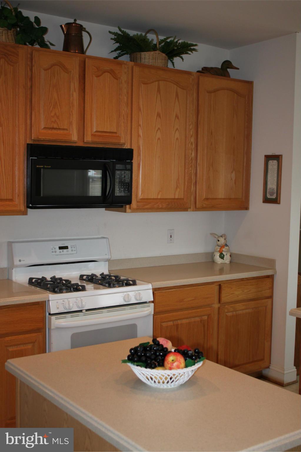 13627 Ryton Ridge Lane Gainesville, VA 20155 - Photo 6 of 21 Kitchen