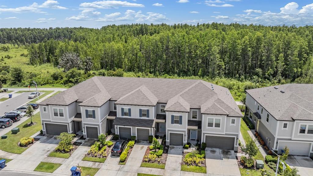 8082 Rolling Shell Trail Wesley Chapel, FL 33545 - Photo 3 of 58