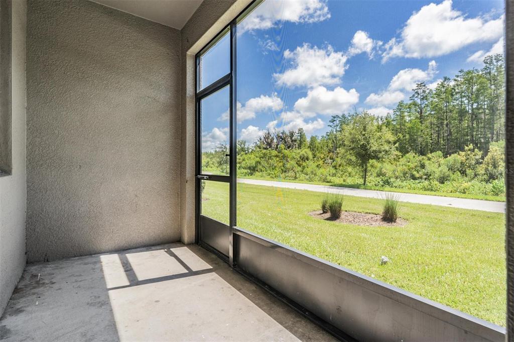 8082 Rolling Shell Trail Wesley Chapel, FL 33545 - Photo 32 of 58