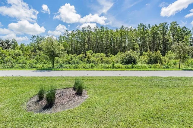 $2,200 | 8082 Rolling Shell Trail, Wesley Chapel, FL 33545