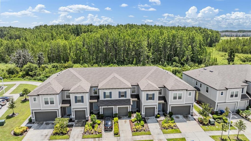 8082 Rolling Shell Trail Wesley Chapel, FL 33545 - Photo 5 of 58