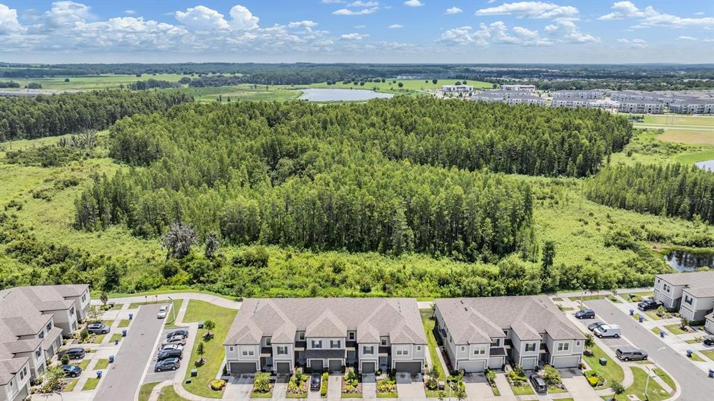 8082 Rolling Shell Trail Wesley Chapel, FL 33545 - Photo 6 of 58