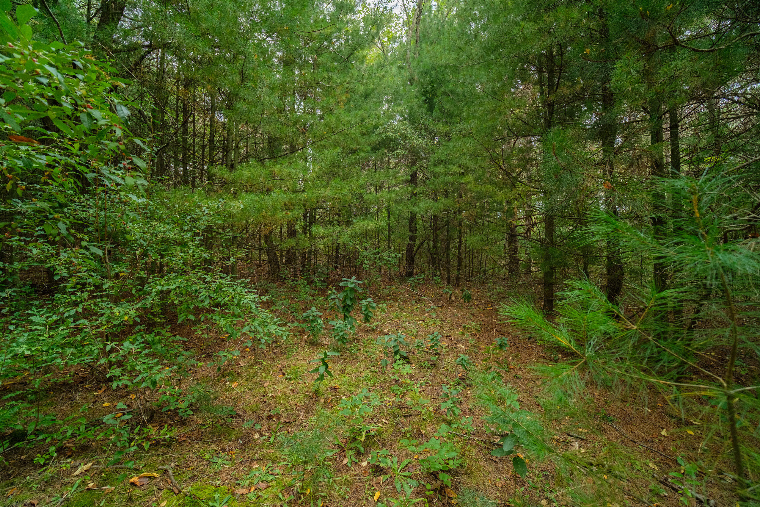 10 Acres Erdman Road