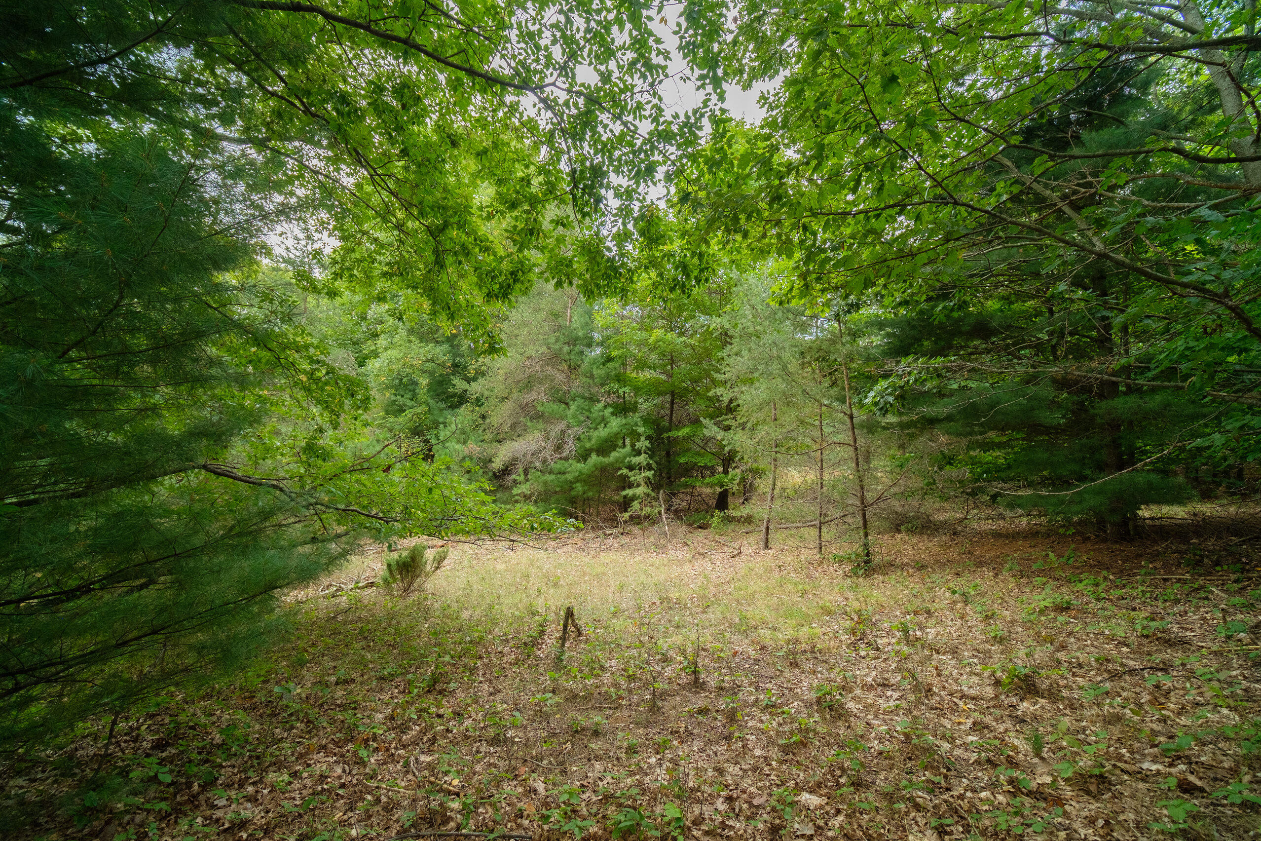 0 Erdman Road Onekama, MI 49675 - Photo 24 of 69 Additional Photo
