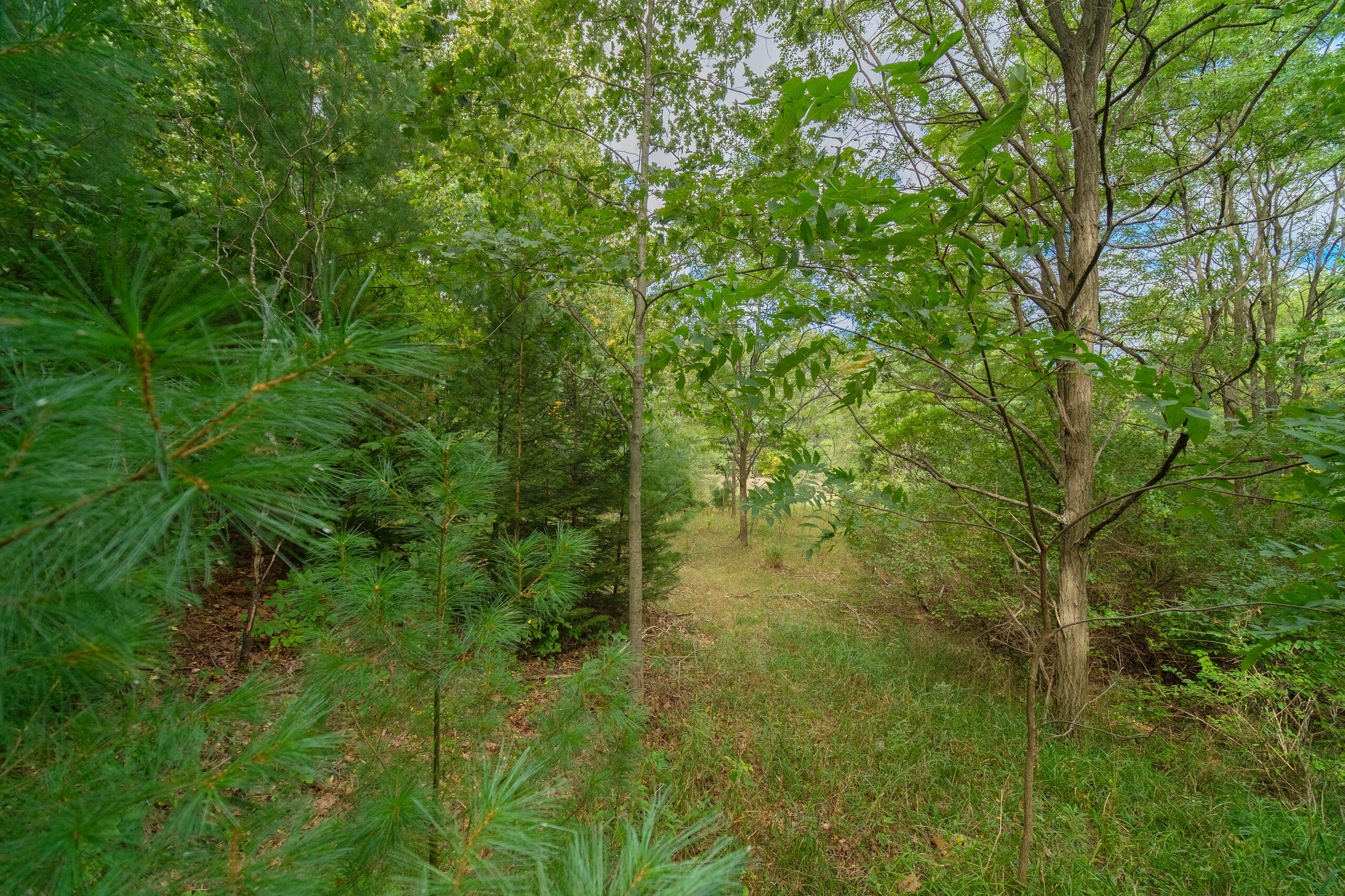 0 Erdman Road Onekama, MI 49675 - Photo 35 of 69 Additional Photo