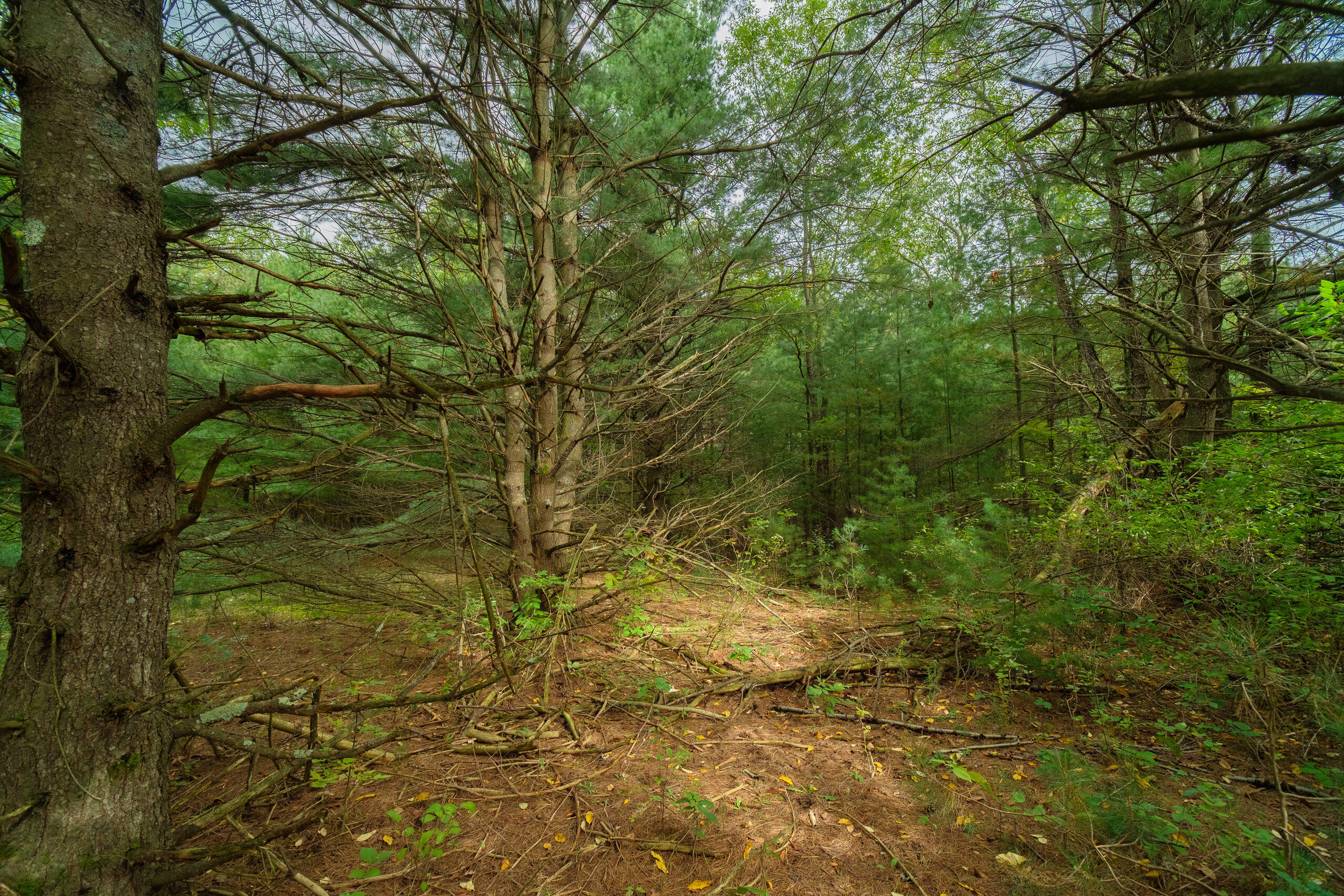 0 Erdman Road Onekama, MI 49675 - Photo 36 of 69 Additional Photo