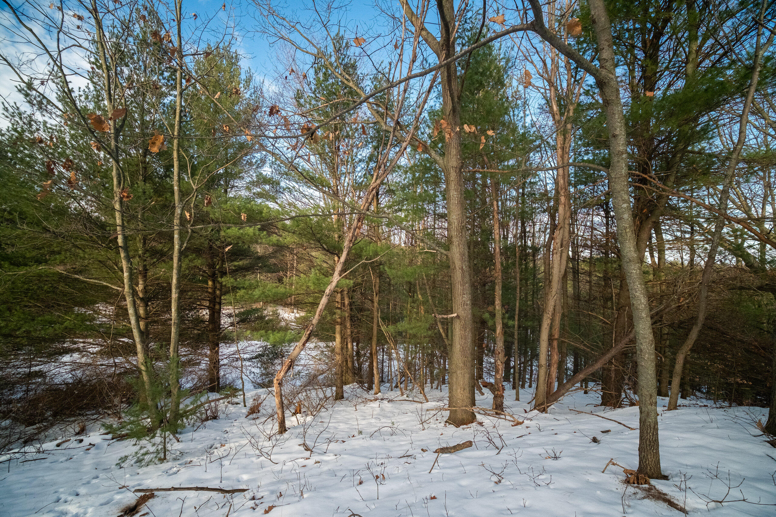 0 Erdman Road Onekama, MI 49675 - Photo 40 of 69 Additional Photo
