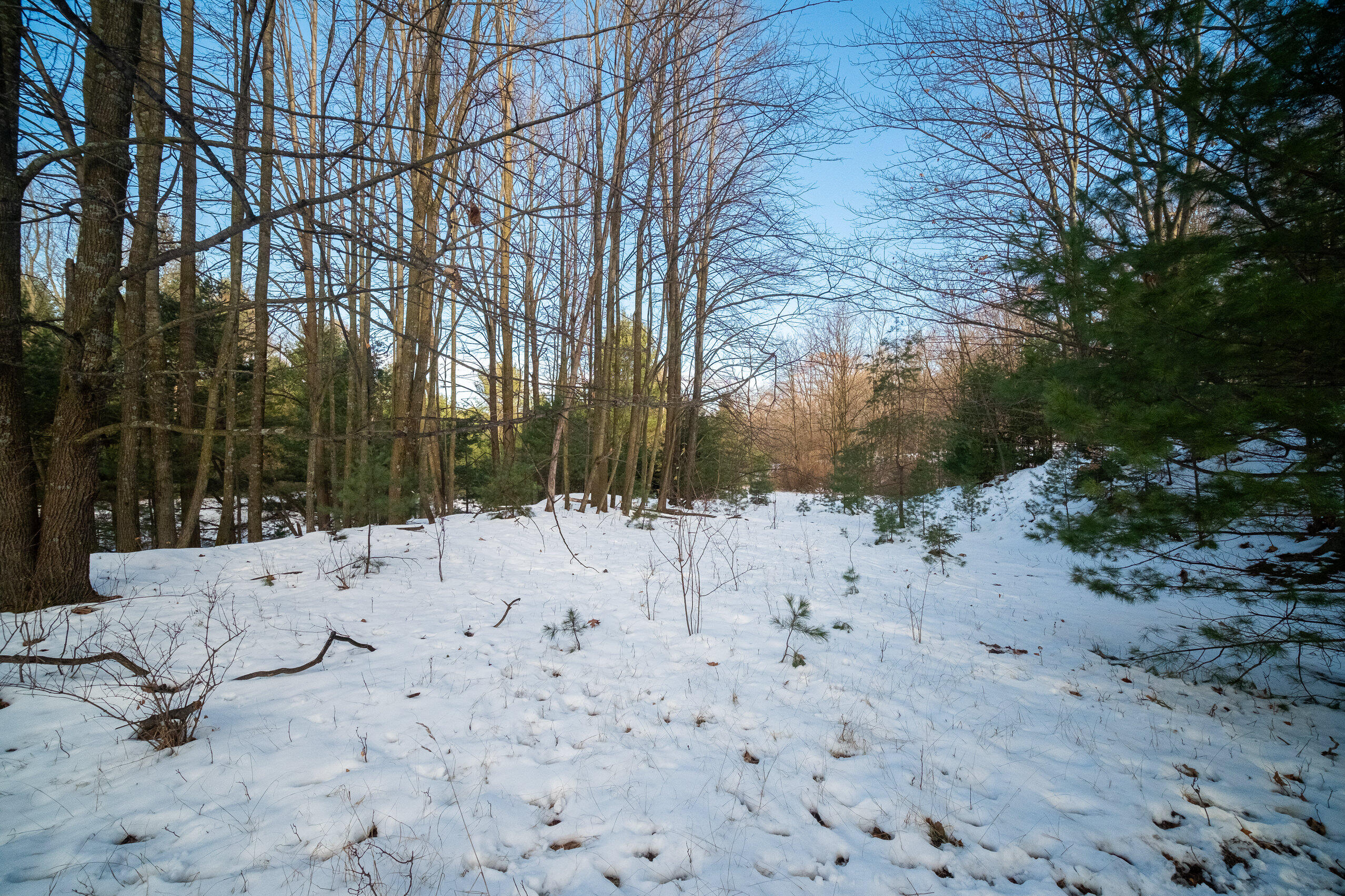 0 Erdman Road Onekama, MI 49675 - Photo 42 of 69 Additional Photo