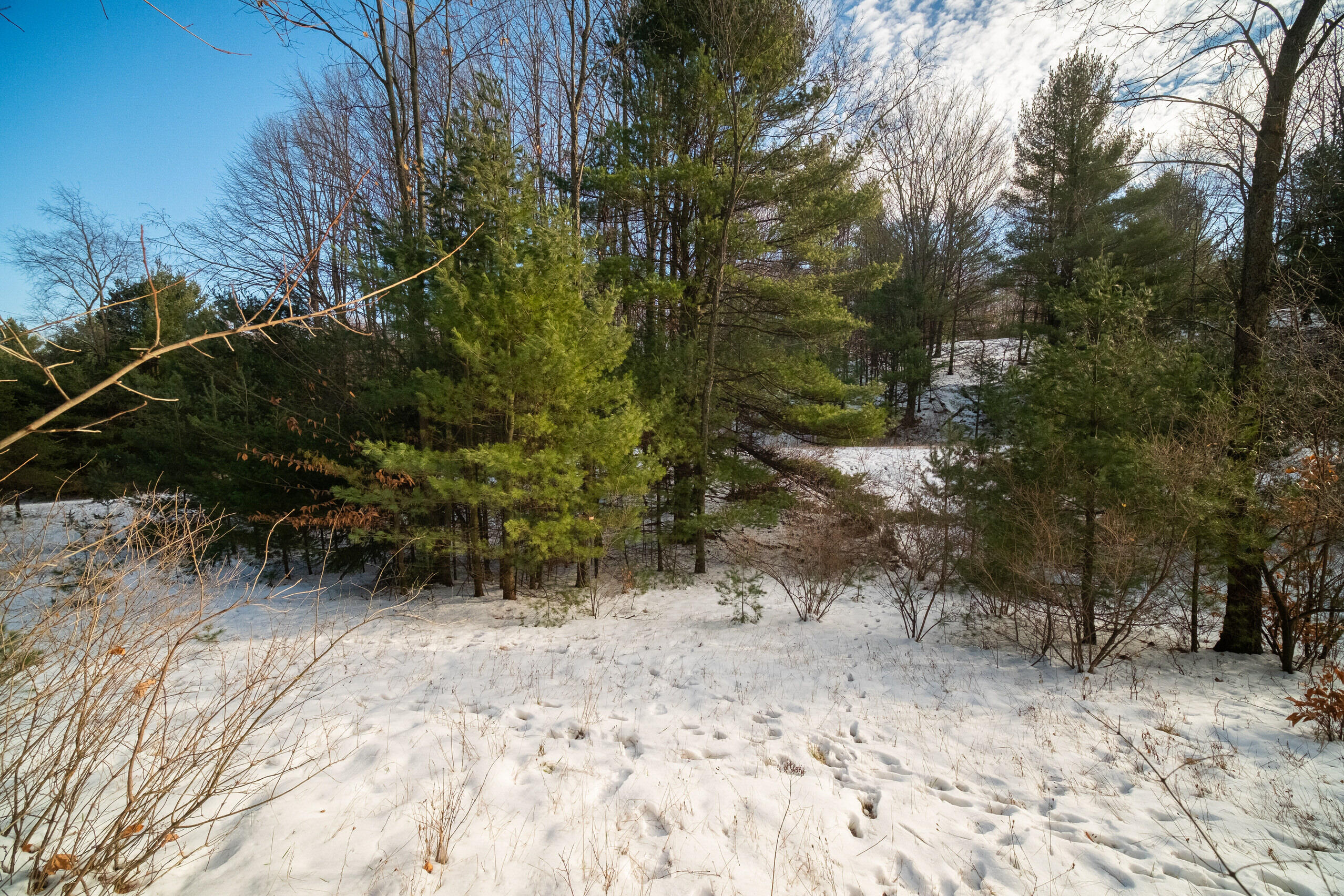 0 Erdman Road Onekama, MI 49675 - Photo 45 of 69 Additional Photo