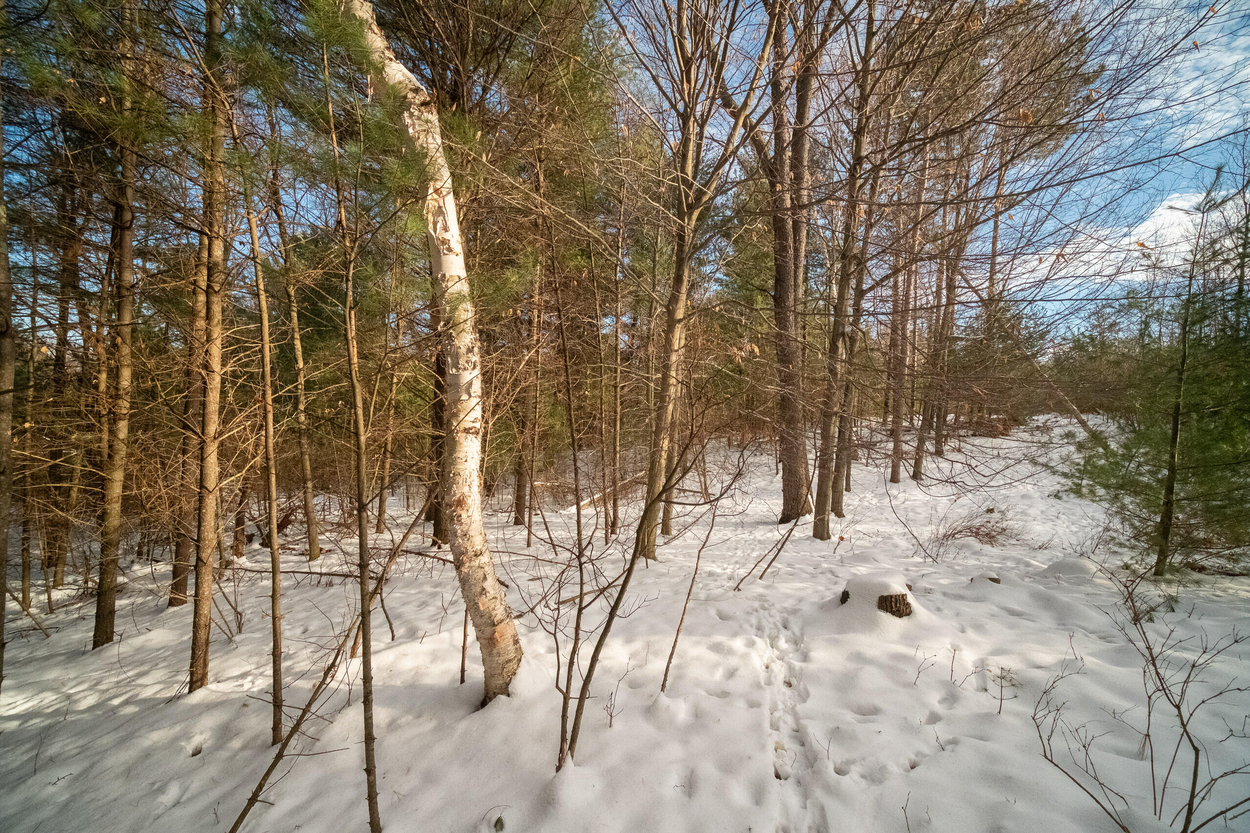 0 Erdman Road Onekama, MI 49675 - Photo 53 of 69 Additional Photo