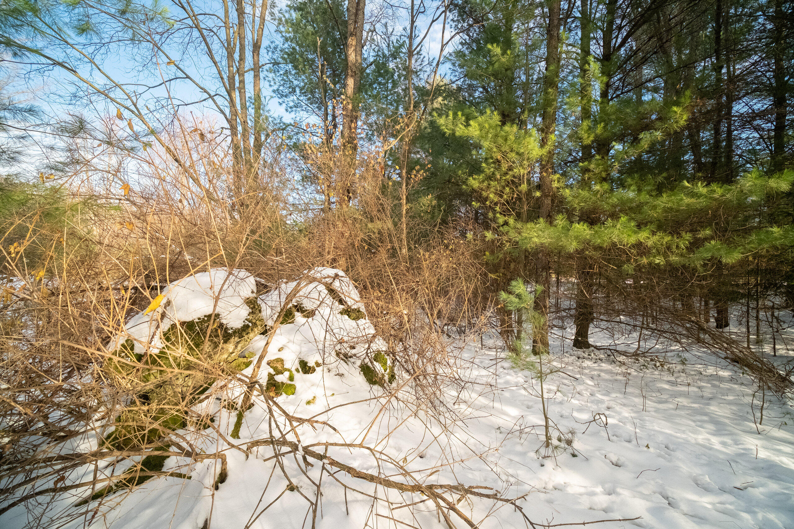 0 Erdman Road Onekama, MI 49675 - Photo 54 of 69 Additional Photo