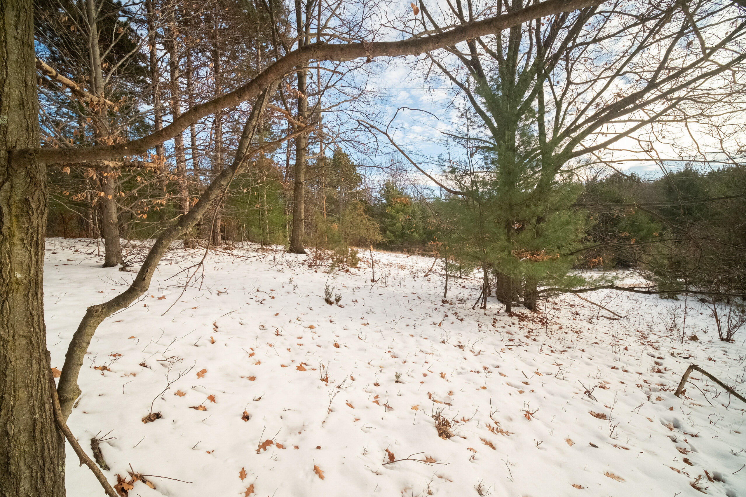 0 Erdman Road Onekama, MI 49675 - Photo 64 of 69 Additional Photo