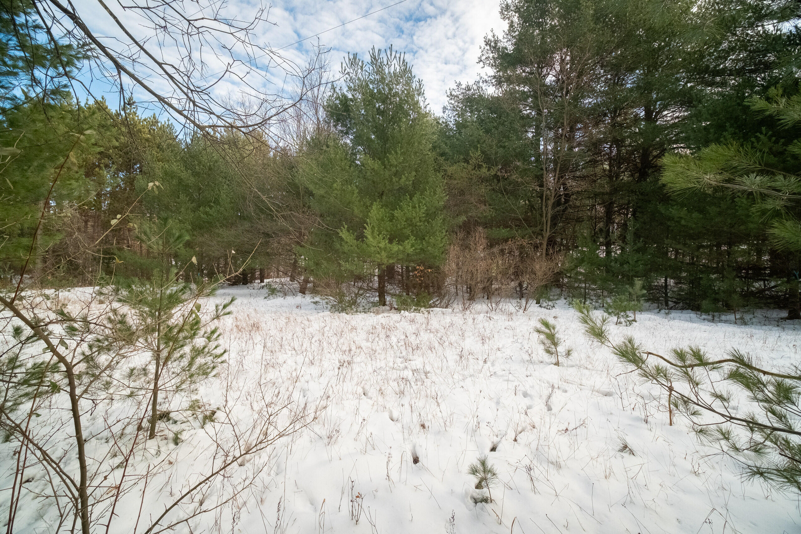 0 Erdman Road Onekama, MI 49675 - Photo 68 of 69 Additional Photo