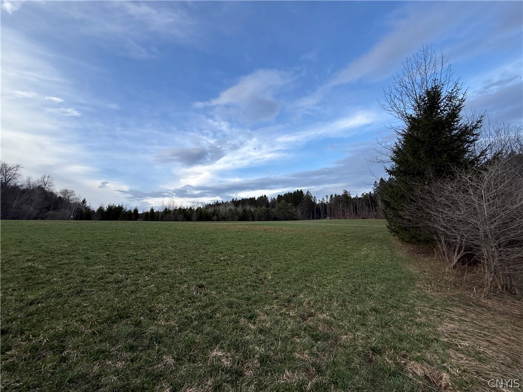 166 Springer Road De Ruyter, NY 13052 - Photo 9 of 10