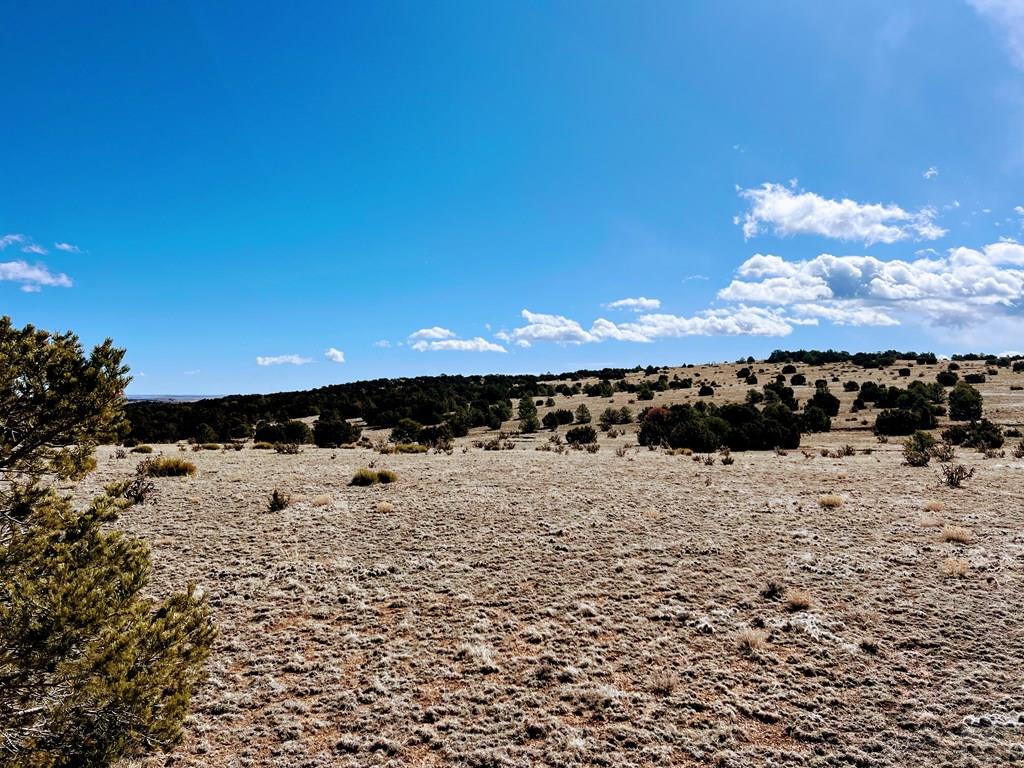 0 Twin Lakes Road Walsenburg, CO 81089 - Photo 8 of 13