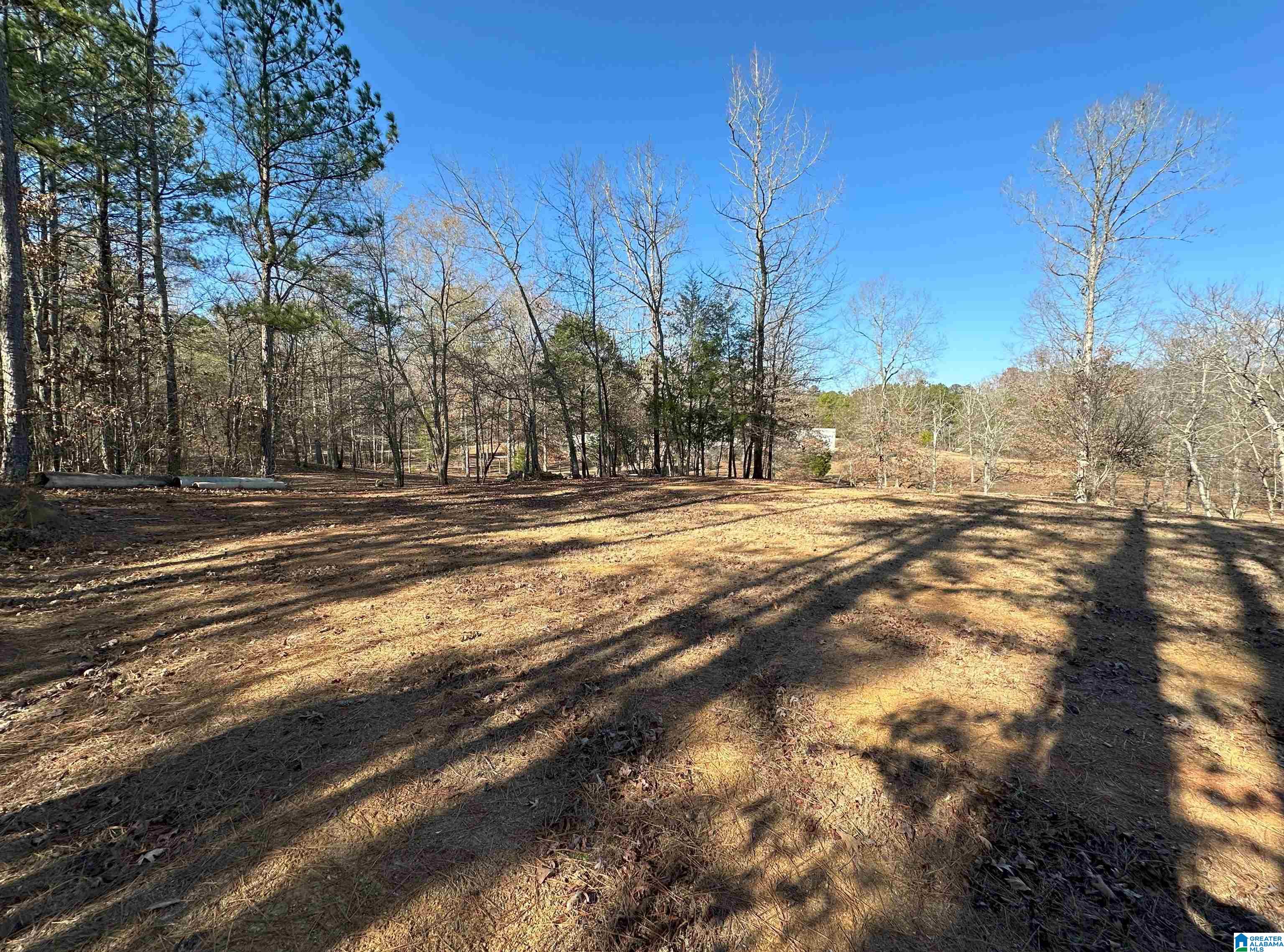 535 Oak Circle Ohatchee, AL 36271 - Photo 17 of 18
