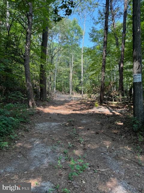 Tbd Townsend Road Millsboro, DE 19966 - Photo 1 of 6 Getting within view of the lot