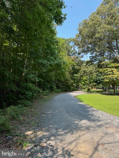 Tbd Townsend Road Millsboro, DE 19966 - Photo 2 of 6 View of lane driving to lot