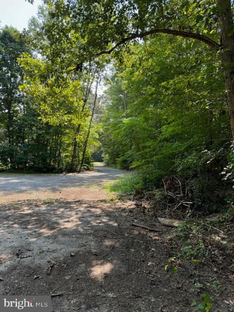 Tbd Townsend Road Millsboro, DE 19966 - Photo 3 of 6 Lane leaving lot