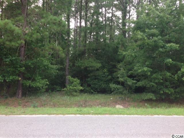5 Fox Hollow Road Conway, SC 29526 - Photo 1 of 5 Gallery Image 1